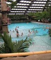 Zwembad-Centre-Parcs-Het-Meerdal-in-America-O