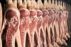 vleesfraude